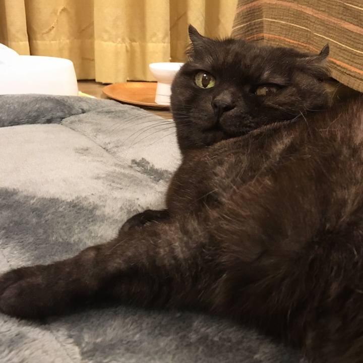 02564170 1d78 4d65 9fae e04bd8de8d7e 1548334772500