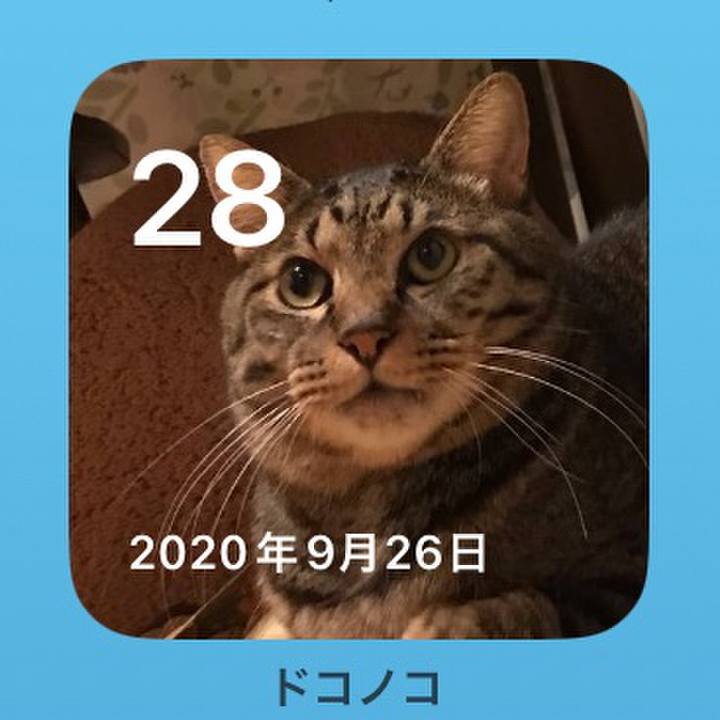 02567ef7 6598 42d9 abf3 f72c80b7b584 1727478197670