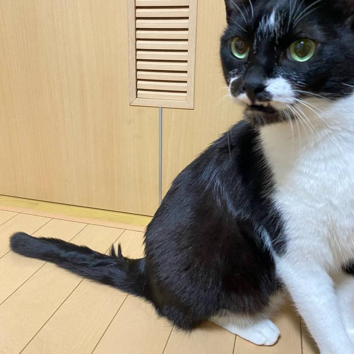 025694e0 d2a3 4bbe a733 a2681fdb21e2 1673883780099