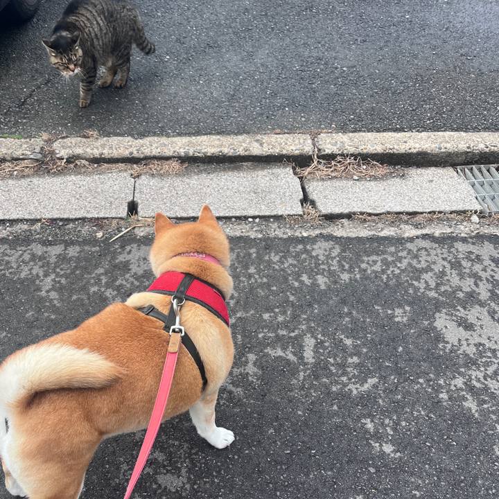 0256a303 ac0b 4362 91ed 747bb8dd1d8a 1709707388271