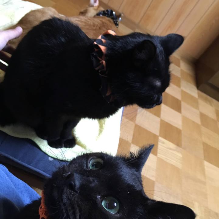 02572e59 845c 4220 89dd 8496aaf8c763 1539347062366