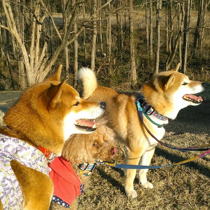 02578a7a 12be 41aa 8b6e 56935c078fb7 1520844046490