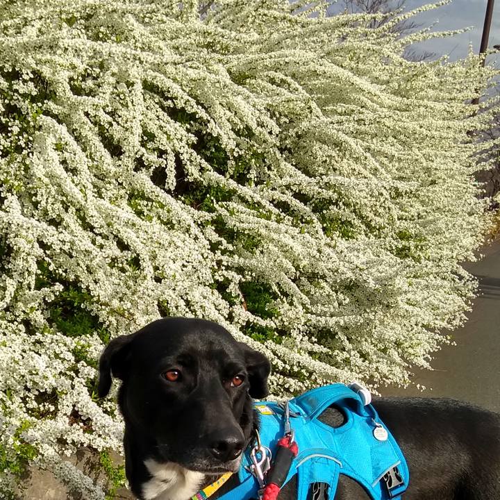 0257a924 20b4 417d 909c 9102d8ffb5f5 1615854885982