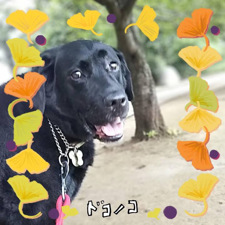 0257b30d e5be 4171 bb3a 648bf3684878 1729123362726