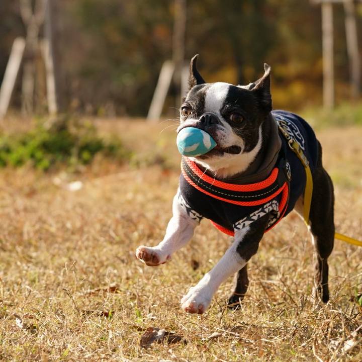 025800b2 03d6 4f86 8fd2 203945e45c33 1512290553240