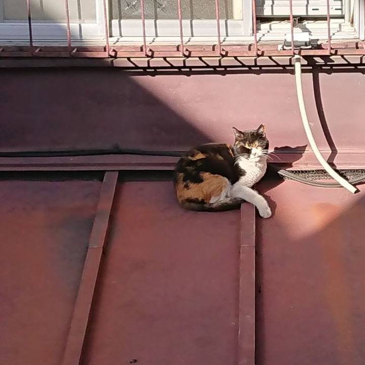 02582d40 a56c 43e4 b316 c7b4a088b22c 1675576303466