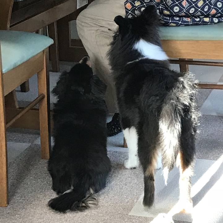 02583d6d 2c30 41b5 a105 4861d5433531 1516491878785