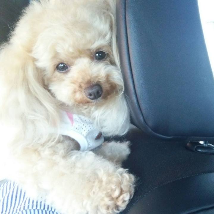 02586844 0830 45e0 a4f9 3e280ae0b2f9 1529200779754