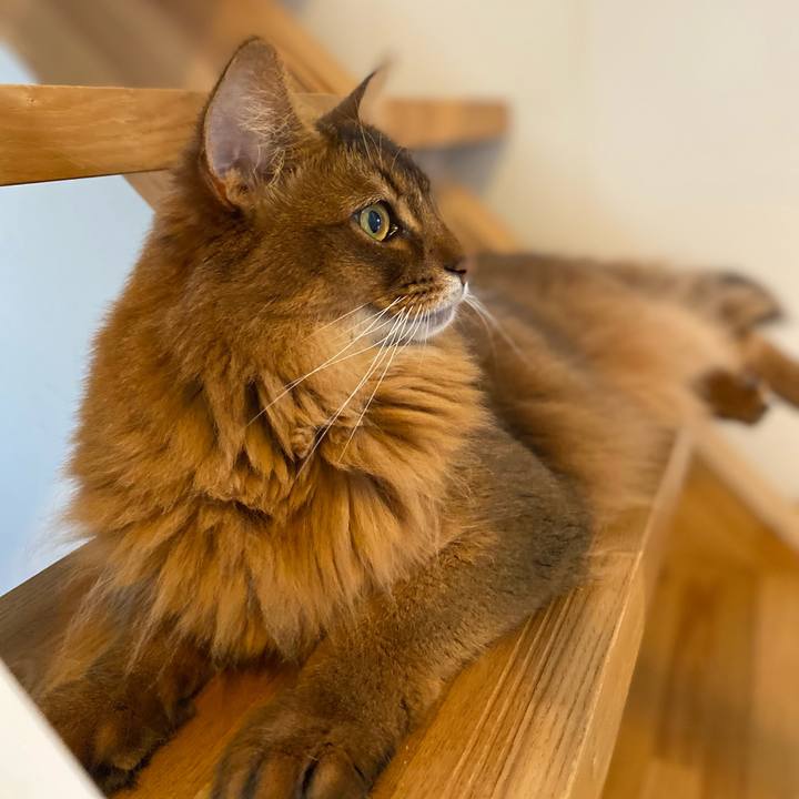 02587536 a014 4a0b 967a 6e26027edf75 1657267955521