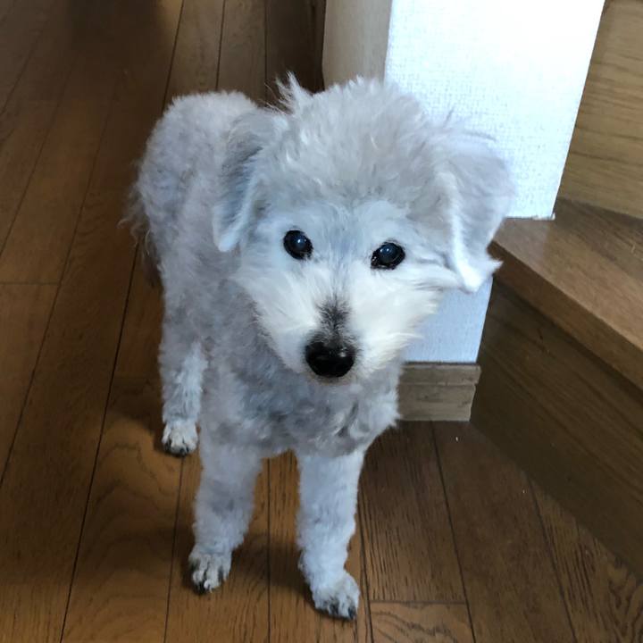 02587d87 b611 494e a50e bb6775622b1c 1616721115197