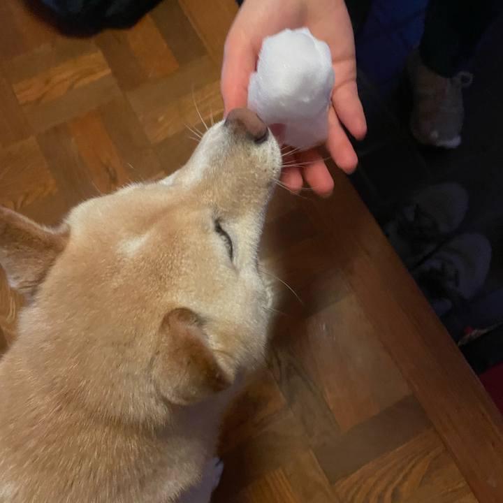 0258bf93 dfa5 4ed5 b8de 6a2ead1b35b2 1707172126786