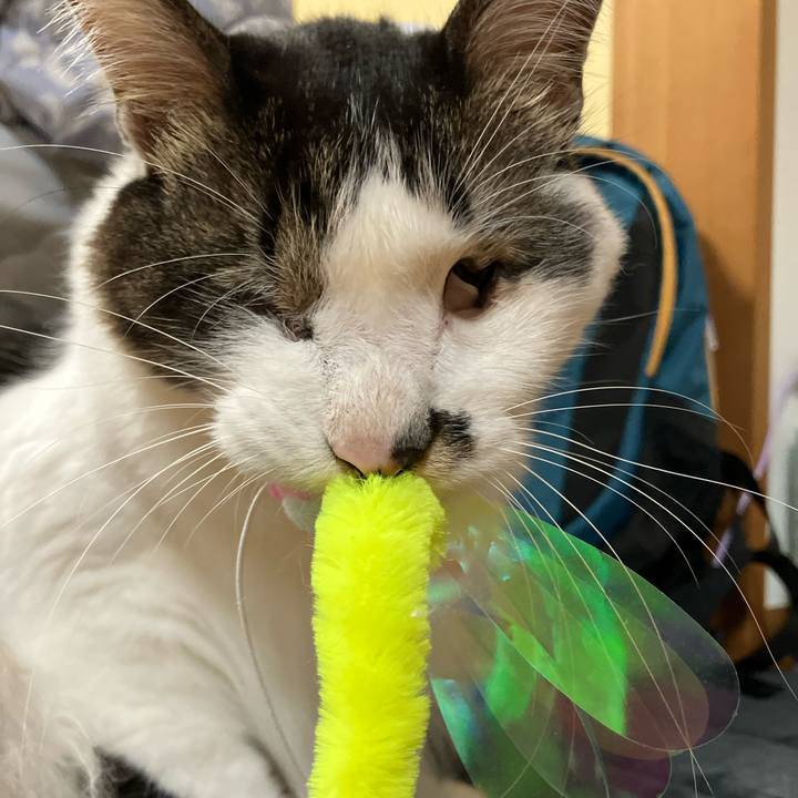 0258cdd9 c3e6 4c32 a123 1ff9151a7c65 1748327499466