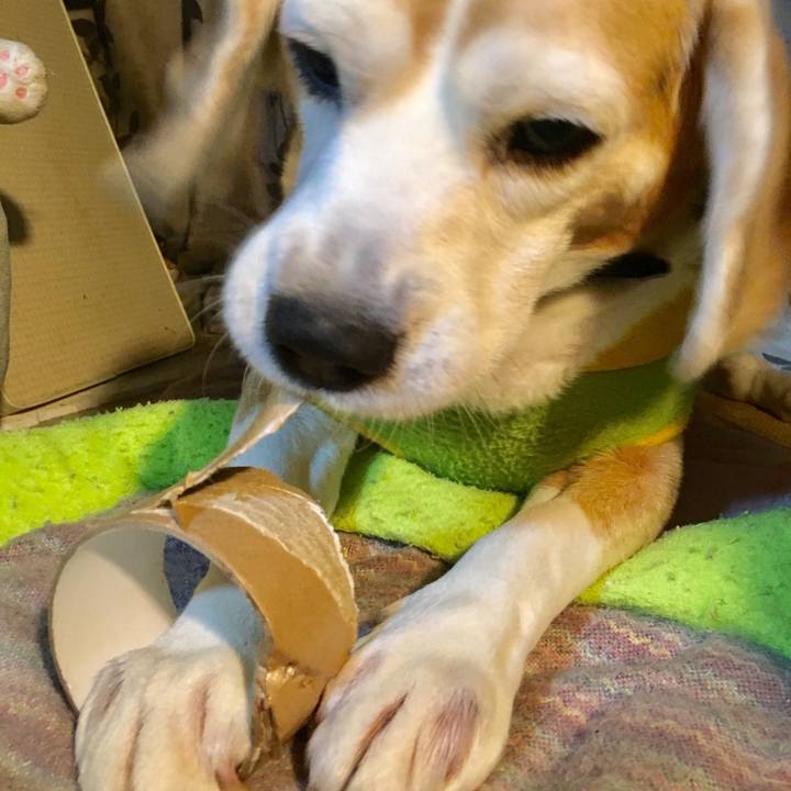 025903a3 ac10 469b 96db f0e19cd92ec4 1551180231887