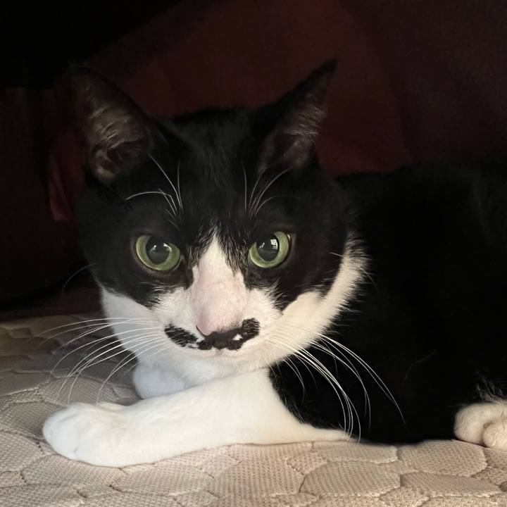 02598513 f915 4e9d be4f 9ecc0b4411ce 1768344118197