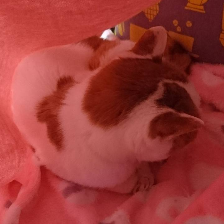 02599545 15c7 4be6 939e fc945c568f6e 1577700568569