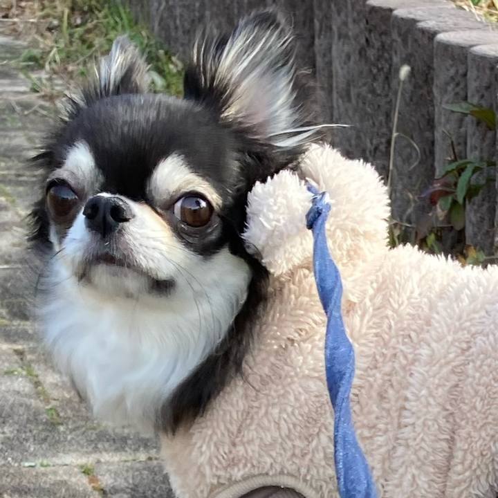 0259bf26 03fd 4095 a58b 108a334f07c8 1676777120580