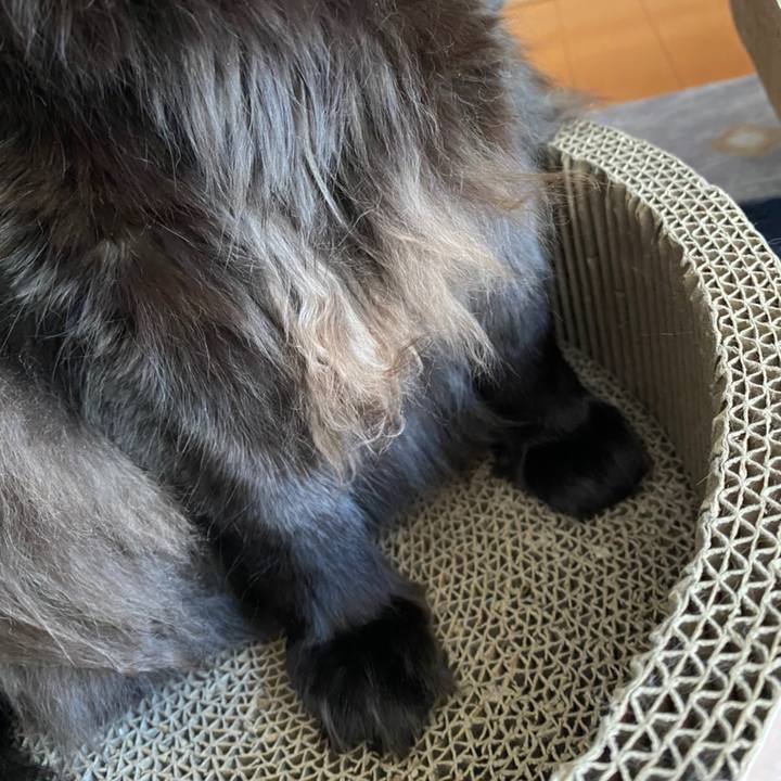 025a2c0c 25a7 4698 878e 61541167e34c 1610339468571