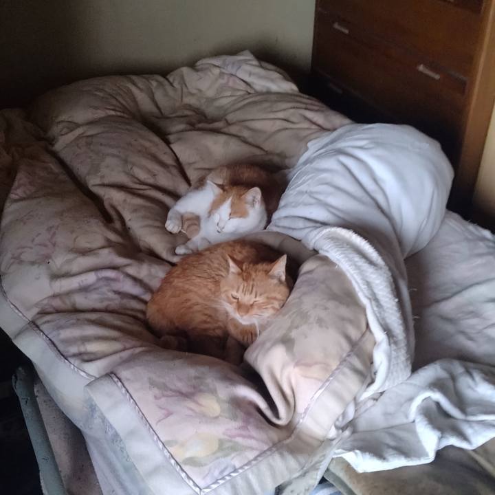 025a34ae 6820 46a5 b677 c086869f6755 1762684435514