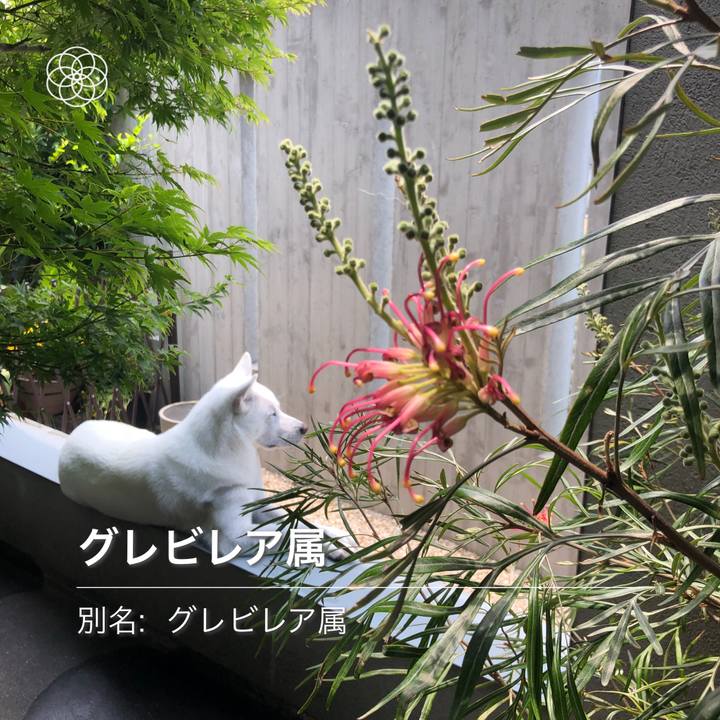 025a4f93 b9a2 4206 913d 6cfcc813436d 1590289690838