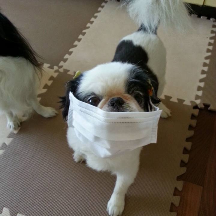 025a9712 a8d0 4c34 8393 dee8fffa2144 1585995429336