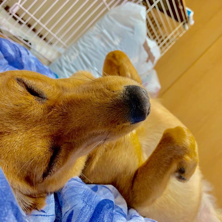 025aa330 cd9d 4396 b32e c7a801cb2d88 1563634636368