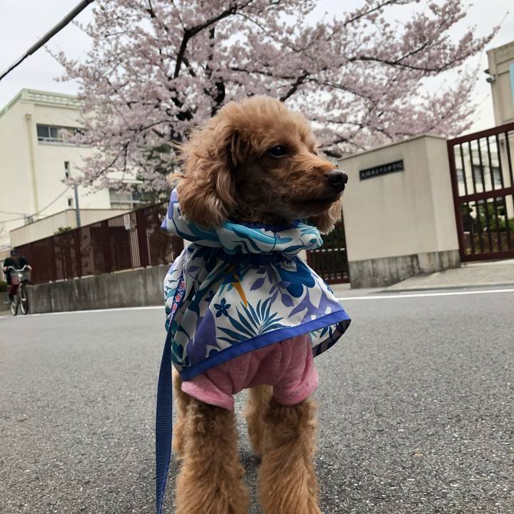 025ad2d1 b306 49f4 bc52 6d742a8fca82 1667696693273