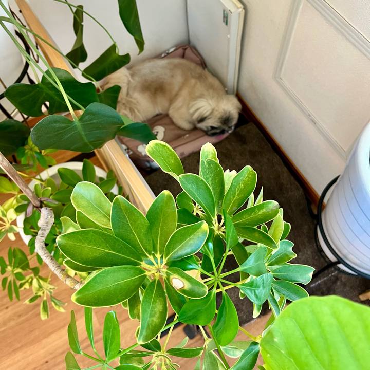 025b0ade a09d 4f63 9180 446d7fe275d1 1748407283538