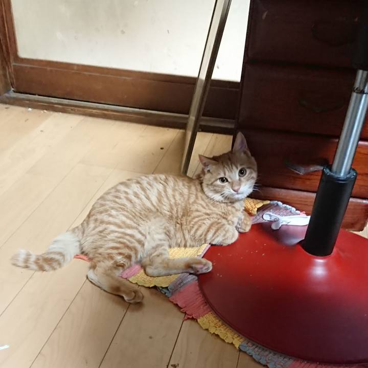 025b1b44 93f9 4670 ad99 52df546e1b31 1638356804492