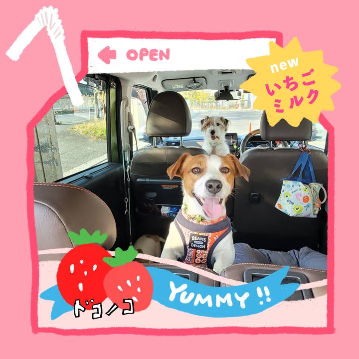 025bc788 d104 4b99 b44e 43b95b126685 1711003927649