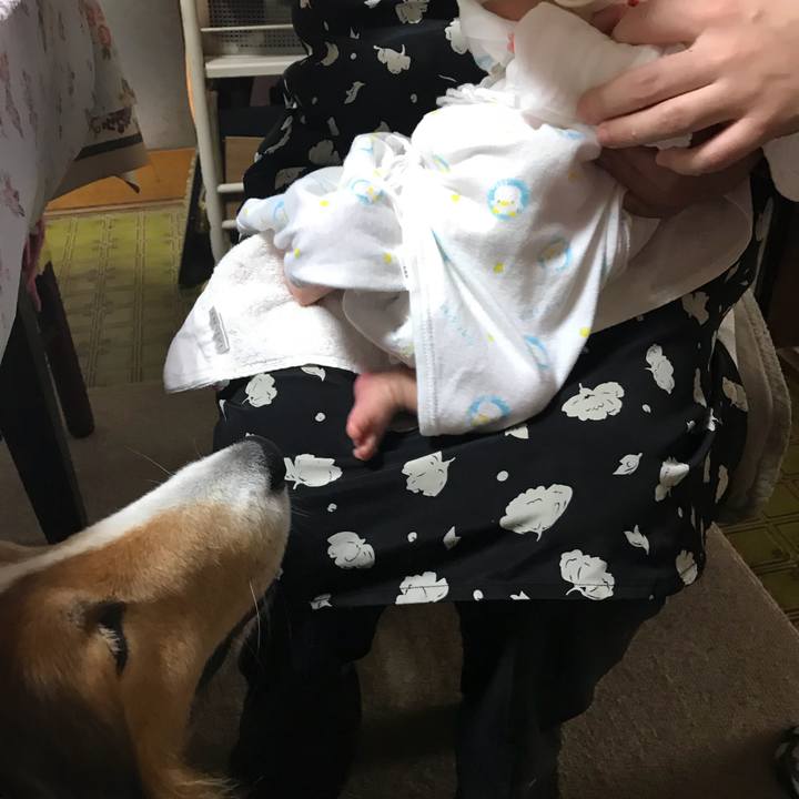 025bd458 eb3d 421a ad2e 76a2b9fc2d1c 1507698161063