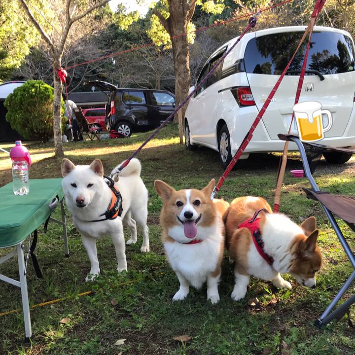 025c1e41 93ca 49c7 9b6a ba1d29b5d840 1570256315402