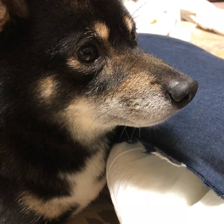 025c2c0b 77c3 4c02 a856 b0a626eb6251 1531911181980