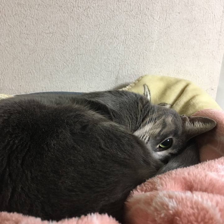 025c2f59 bc9a 4c81 a780 baa4d2f8460e 1574245092009