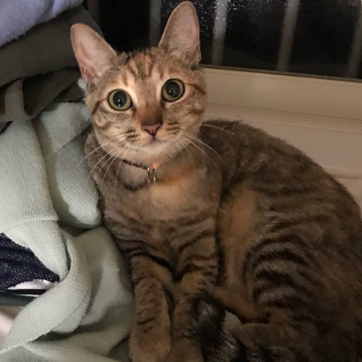 025c403b e848 46f9 b0cd d0b1cc3e742c 1557404812774