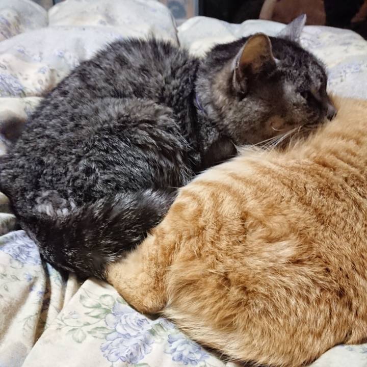 025c9fff ba87 40eb a241 64bf152abbe3 1579953830453