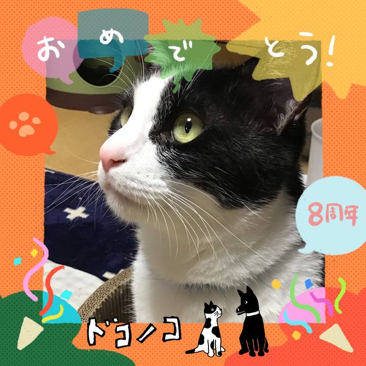 025cae18 7bfa 48d0 885a d9b5dc524c82 1717752390905