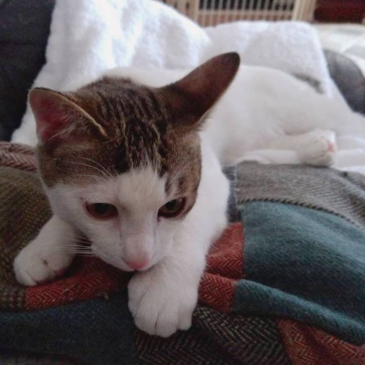 025cee36 7acb 4773 a238 dab78f9a77f2 1643427982908