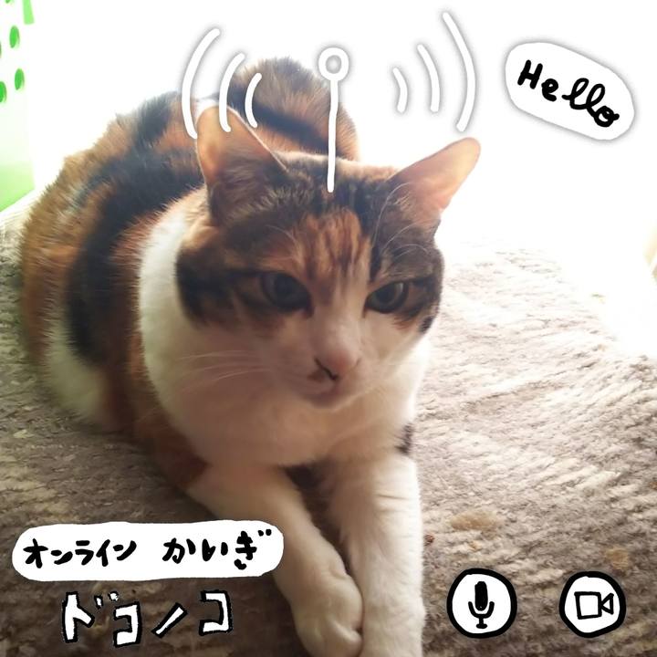 025d19d1 9c62 4e73 a082 a9978eac36f8 1590753057760