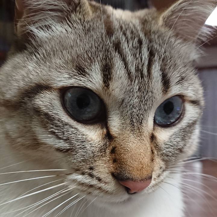 025d4102 89a5 4be3 89af 28b875c73184 1519814612060