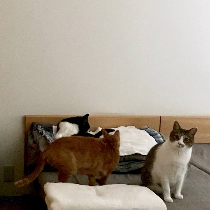 025d62f5 77b4 44d6 ab29 78e34bb7d679 1566962878286