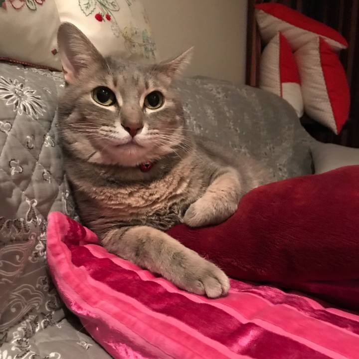 025d97fa 58c3 4002 a366 caef9d544cca 1571068165982