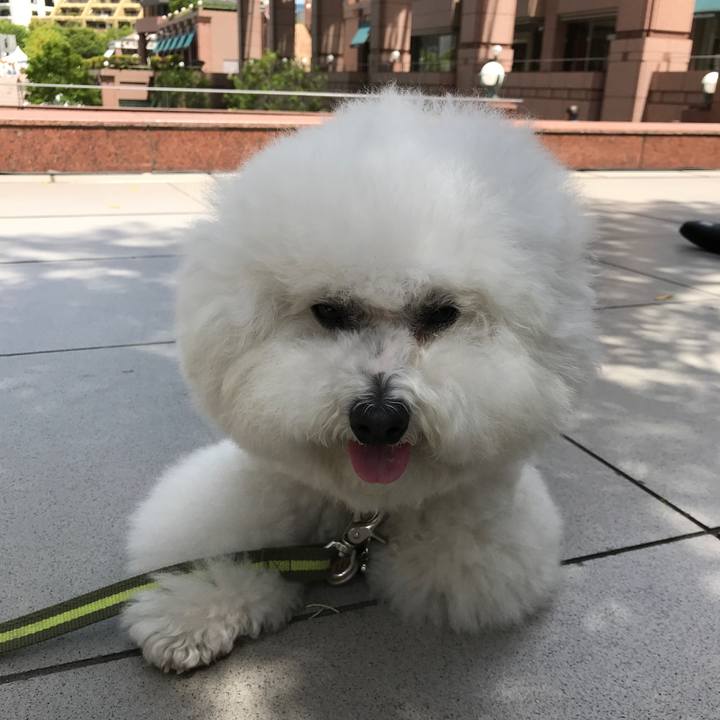 025db764 512b 4799 9c00 fe8b1fcbca05 1528495817028