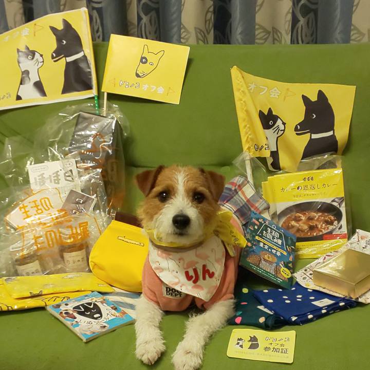 025dbe7c d14d 4a9f 94f9 47285530104d 1555755814289