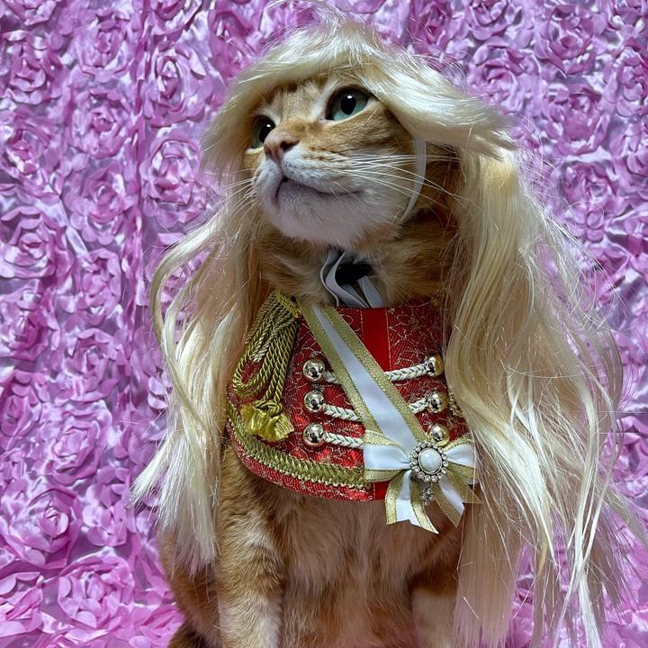 025e07cc 2bd7 43e0 bc67 c02f970ec649 1705739416919