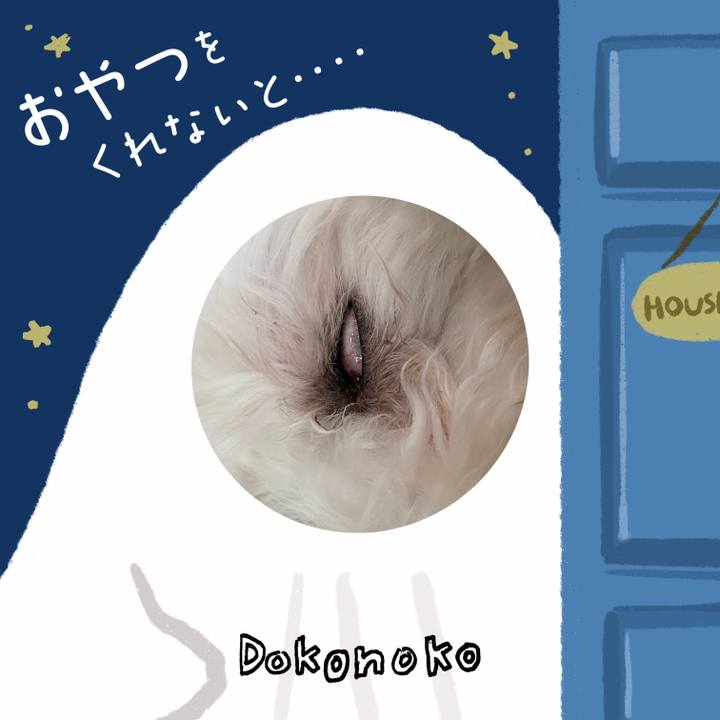 025e3769 a222 4160 911c 26a313659546 1729078293770