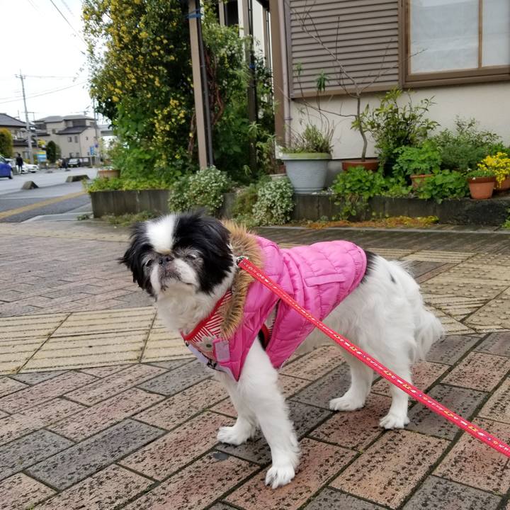 025e3f94 65dc 460c adf6 b4ce879873b0 1587202942957