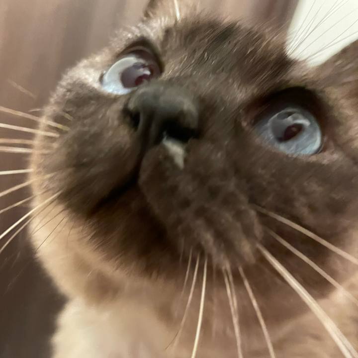 025e59c4 5305 4406 ad4e dc49c0ed2306 1773067572329