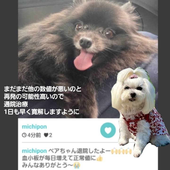 025e5b9d 6b2f 4ccc ac88 eb4f3cb07c03 1721131802756