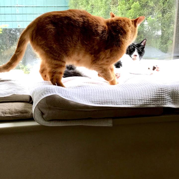 025e6ee5 b04b 4ad4 9f7f 0fa3318c0bf0 1558151863877