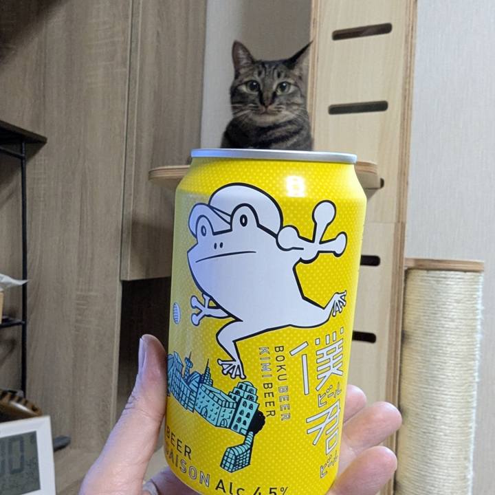 025ea29e 1e4f 4d91 a5f7 7874db149320 1743401663632